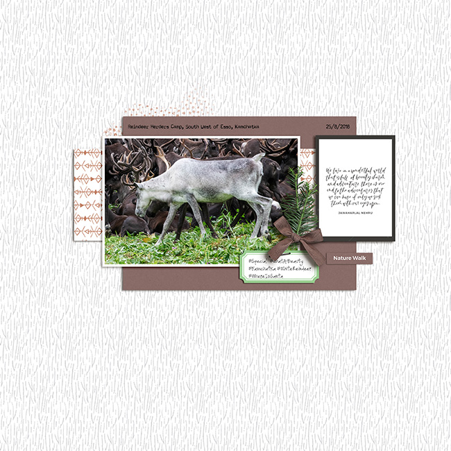 White Reindeer