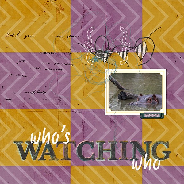 Who's Watching Who