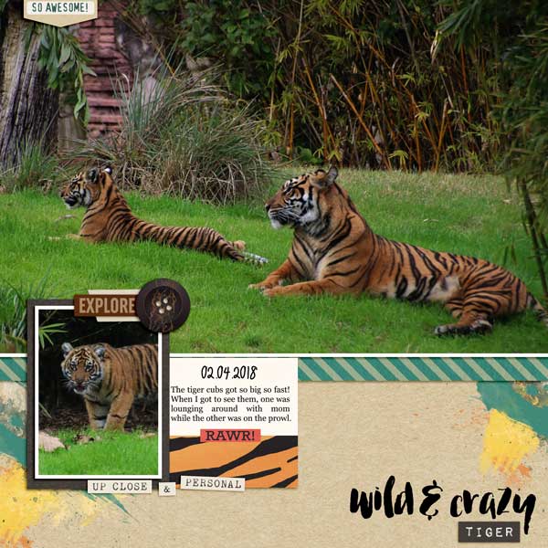 Wild and Crazy Tigers