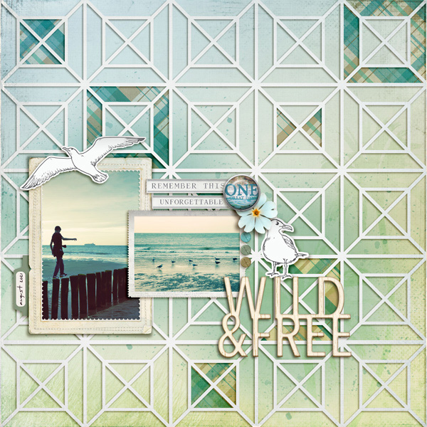 Wild & Free