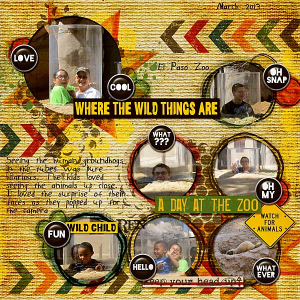 wild groundhogs