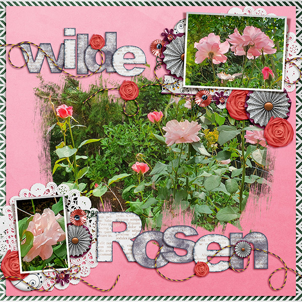 Wild Roses