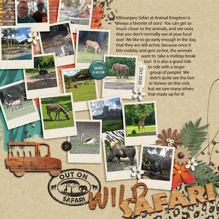 Wild Safari