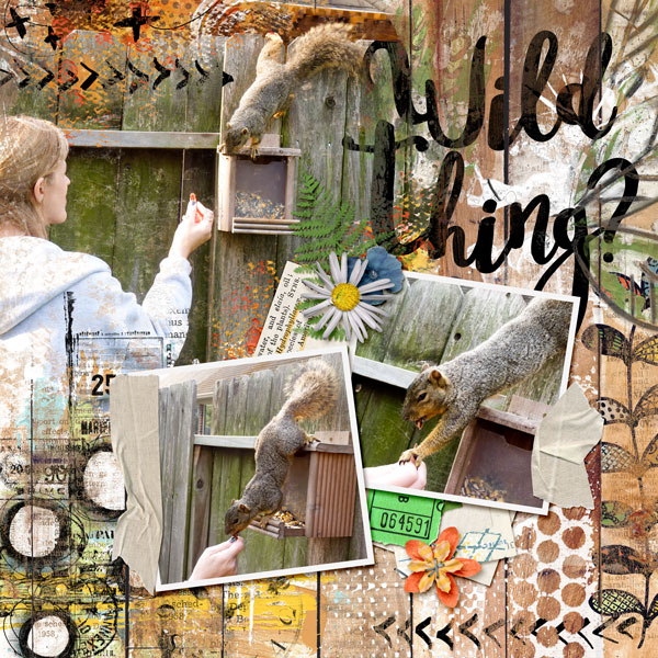 Wild Thing?
