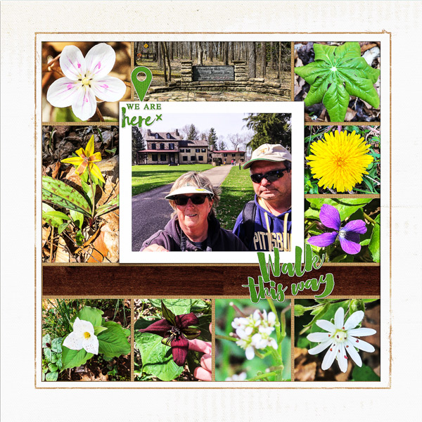 Wildflower Hike at Friendship Hill National Historic Site_left