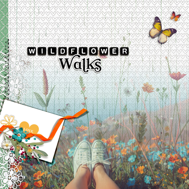 Wildflower-walks
