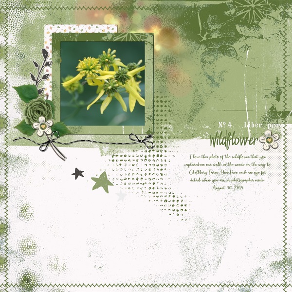 Wildflower