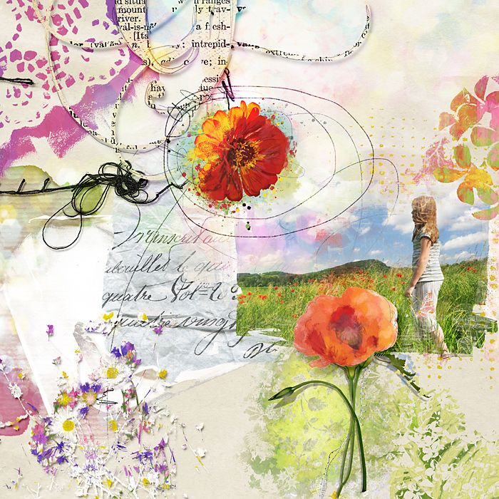 Wildflowers
