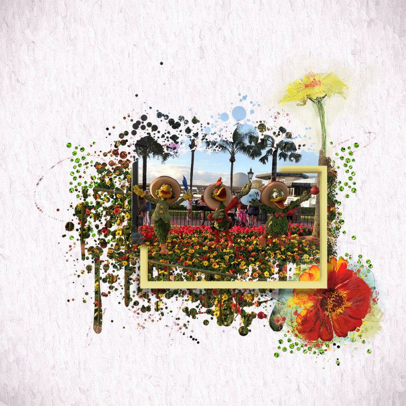 Wildflowers