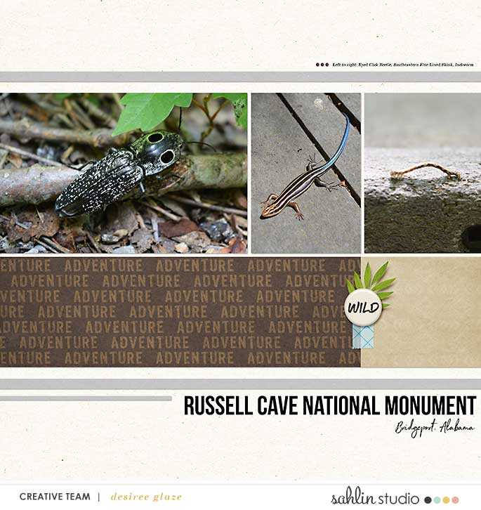Wildlife at Russell Cave- June 2016