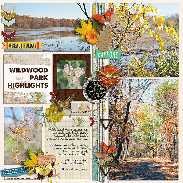 Wildwood Park Highlights - Jan 31