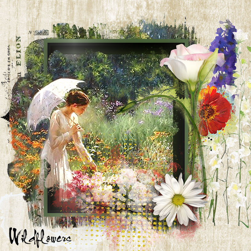 Wilsflowers