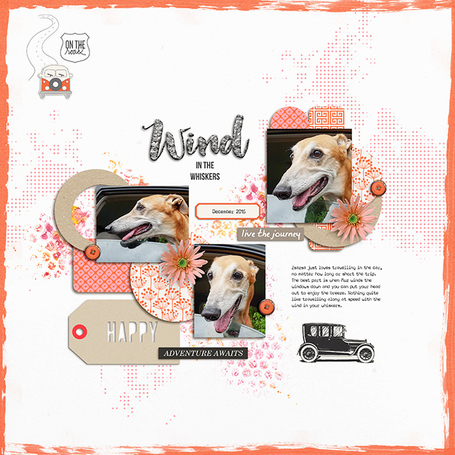 Wind in the Whiskers