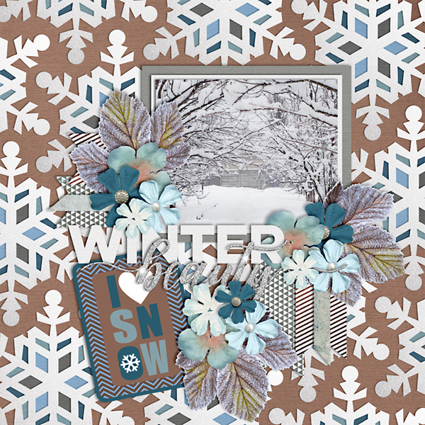 Winter Beauty