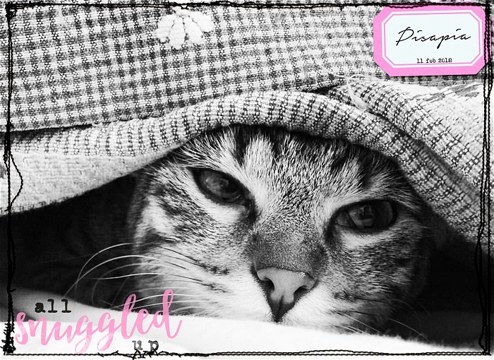 (winter-day 2) All Snuggled Up