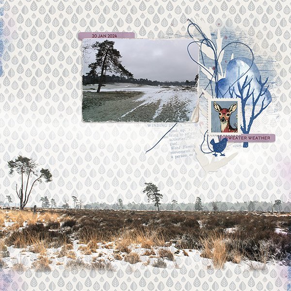 Winter Duinen