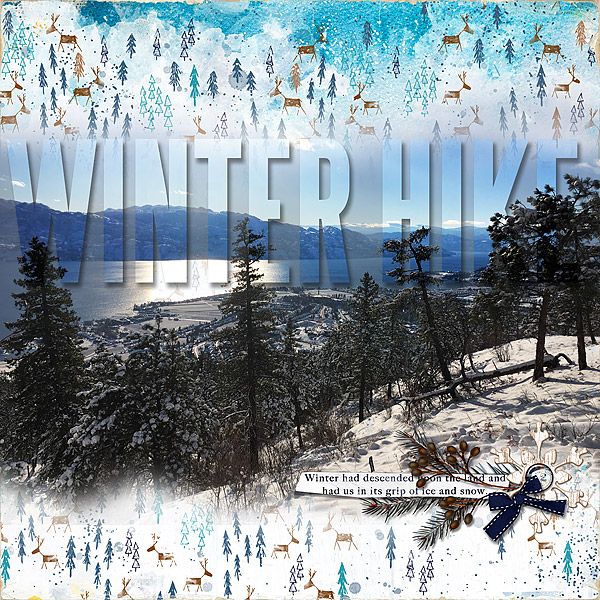Winter Hike