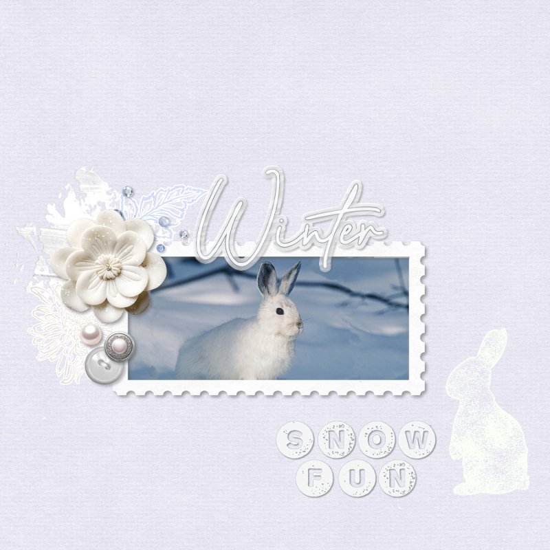 winter rabbit.jpg