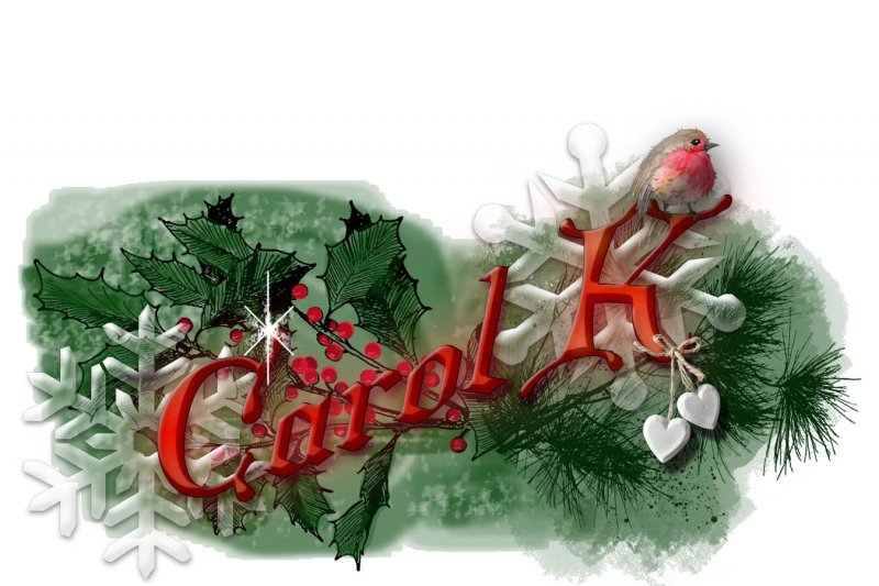 Winter Siggy