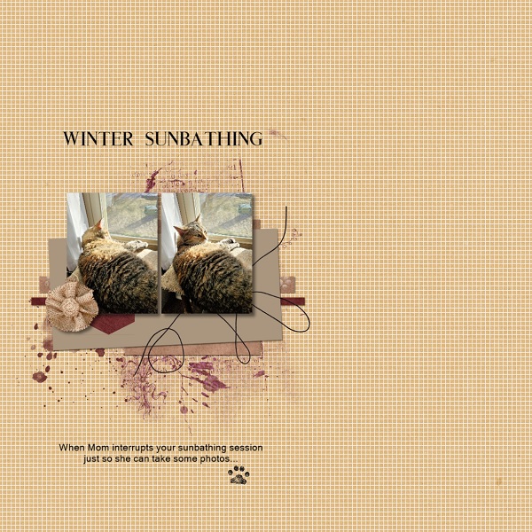 Winter Sunbathing