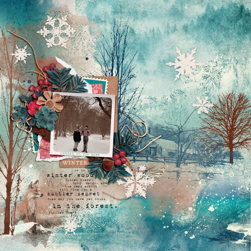 Winter Walk