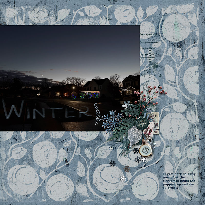Winter Walk
