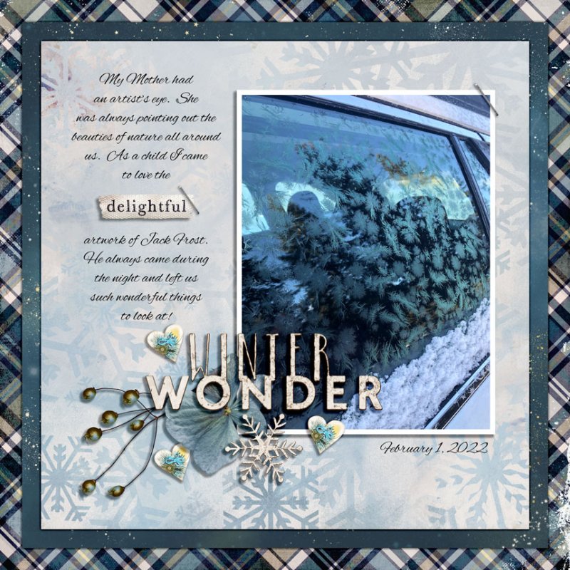 WINTER WONDER