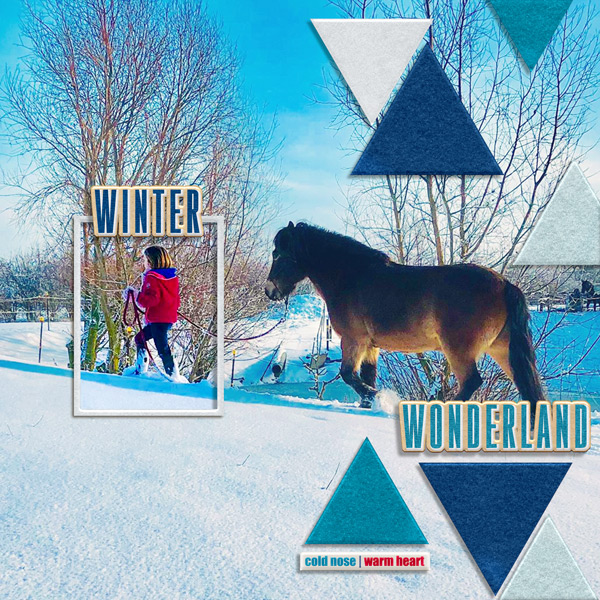 Winter Wonderland