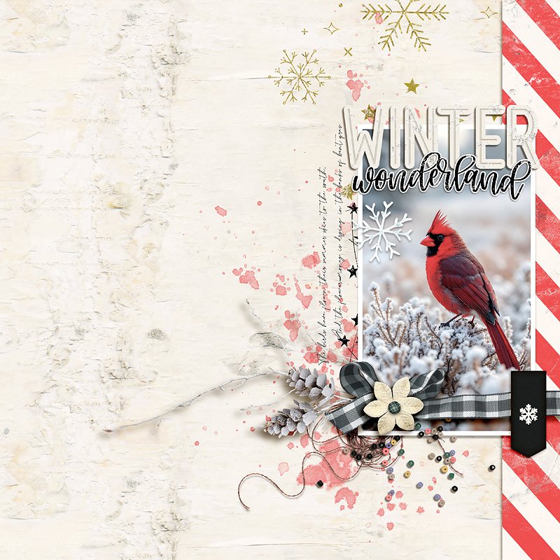 Winter Wonderland
