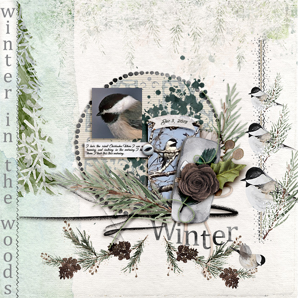 Winter