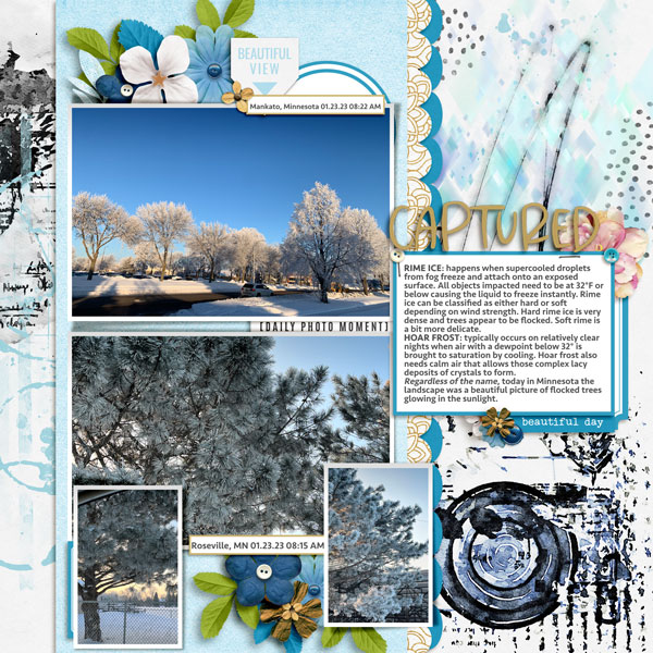 Winter_Frost