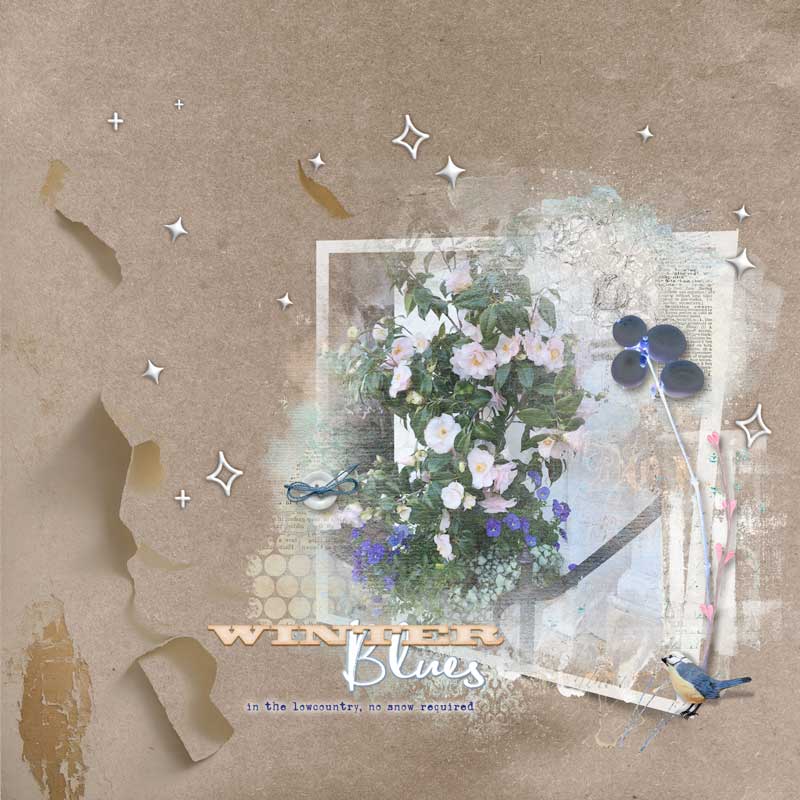 WinterBlues
