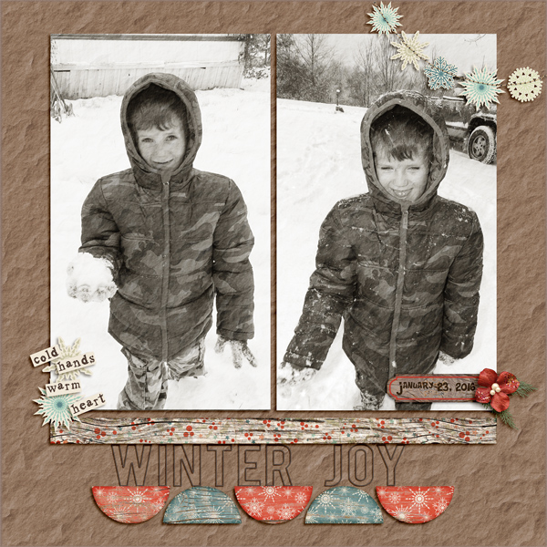 WinterJoy