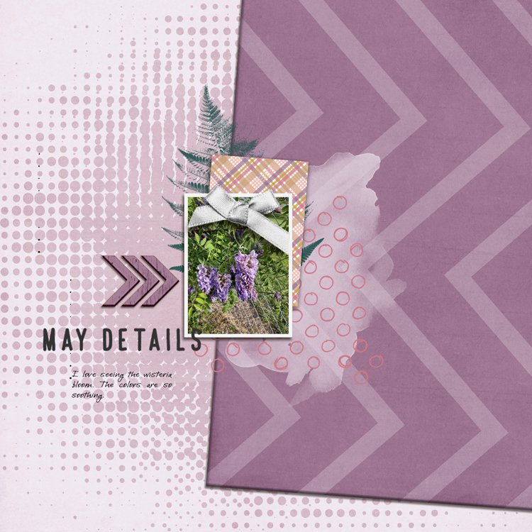 wisteria.jpg