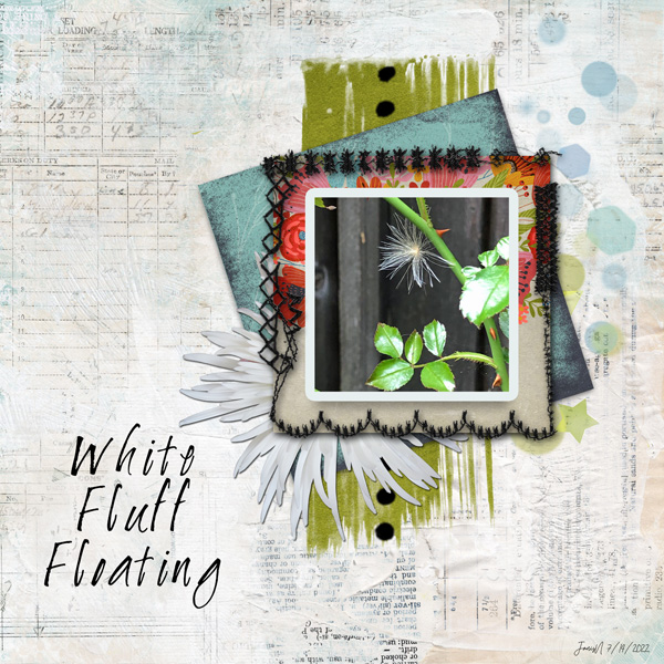 Wk2_PhotoMats_whiteflufffloating