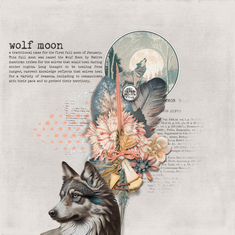 Wolf Moon