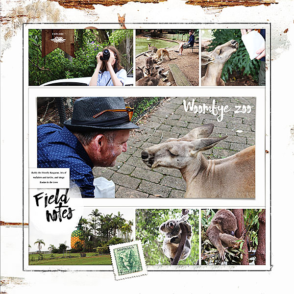 Wommbye Zoo