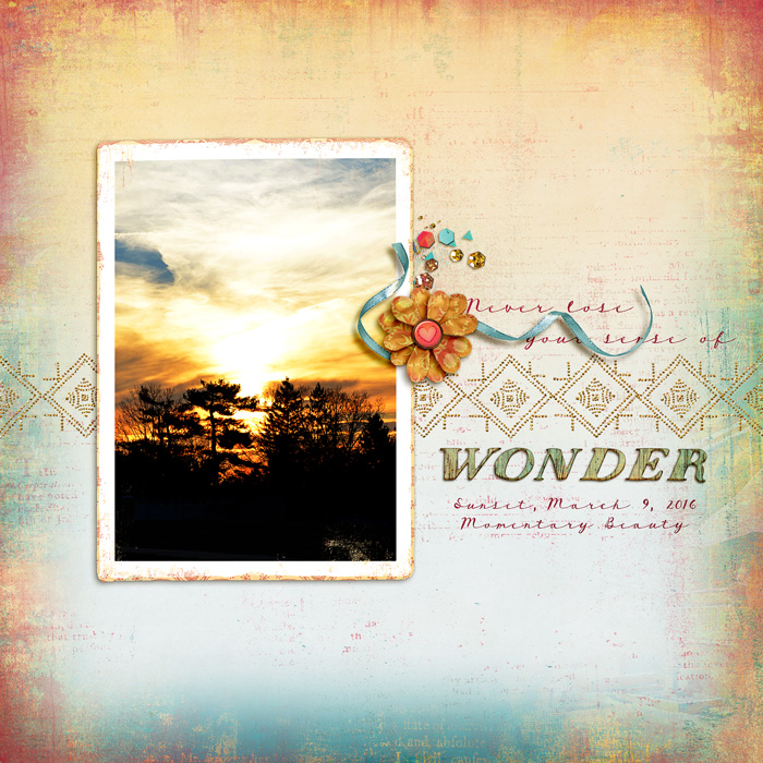 Wonder