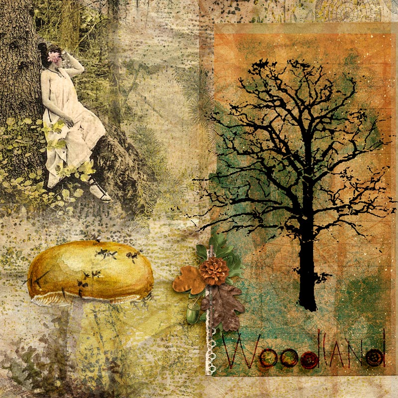 Woodland