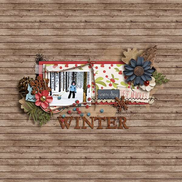 Woodsy Winterland
