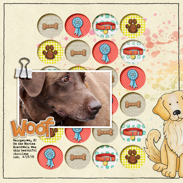 Woof (slow Scrap iNSD)