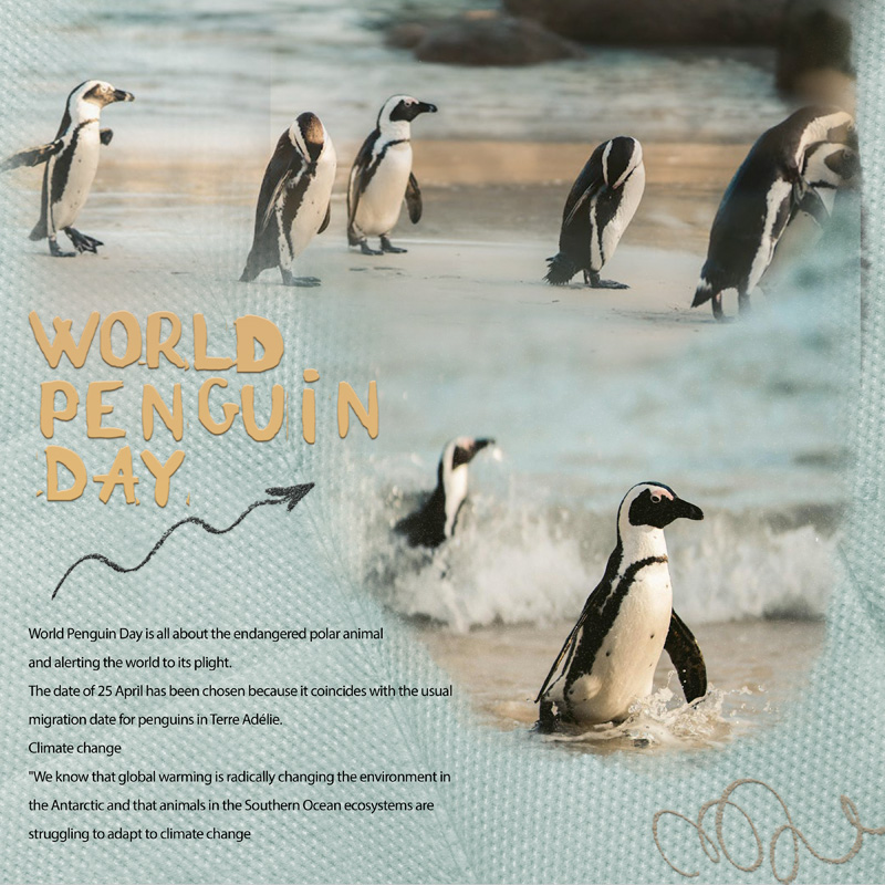World Penguin Day
