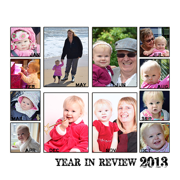 Year in review 2013