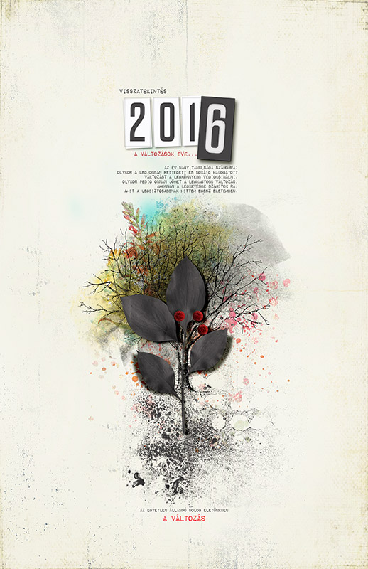 Year in Review | MOC5_Jan02