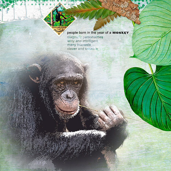 year of a monkey