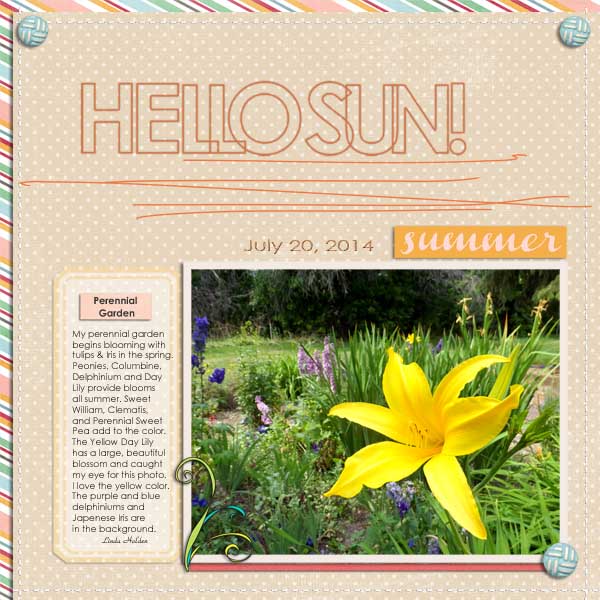 Yellow Day Lily