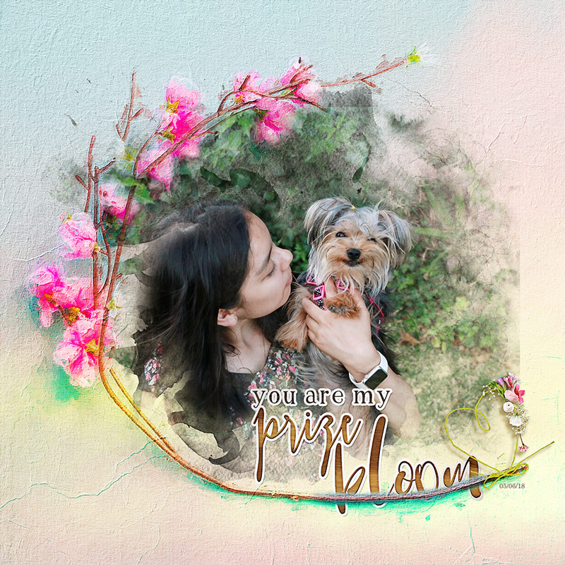 You are my prize
