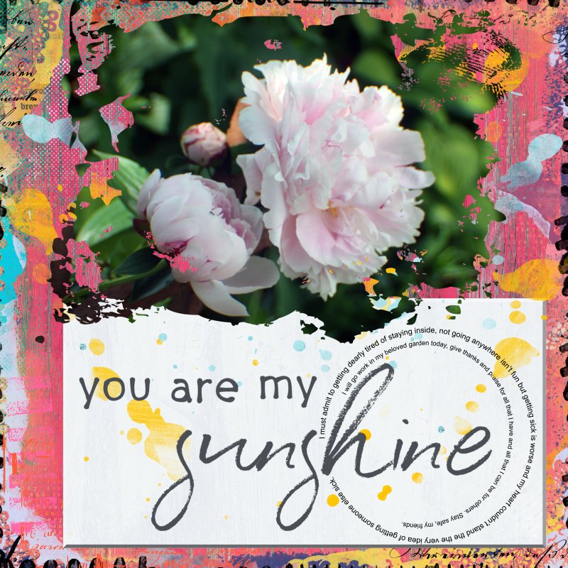 You Are My Sunshine Gardening