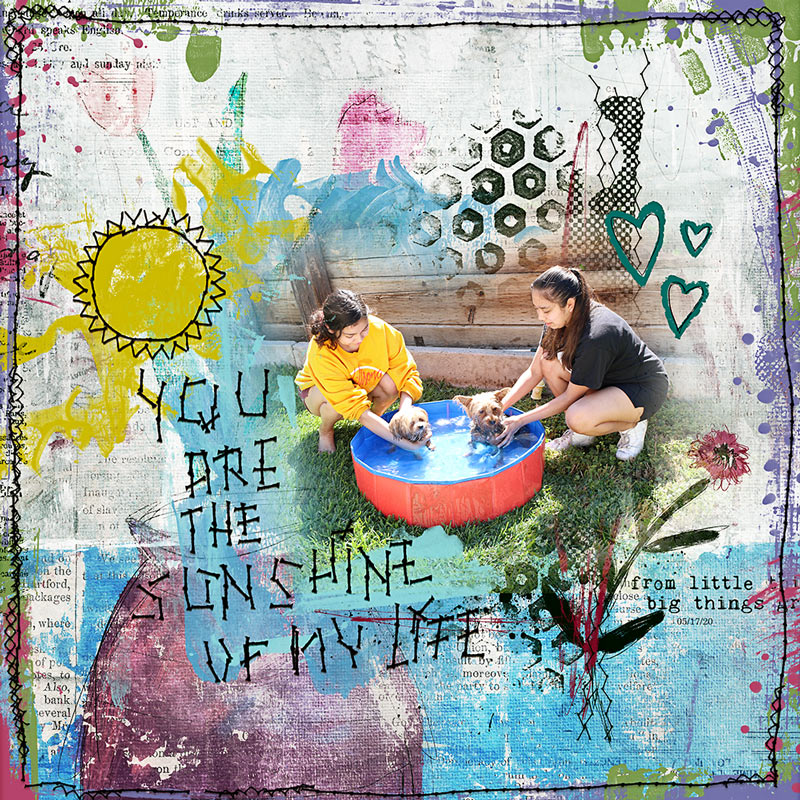 You are the Sunshine