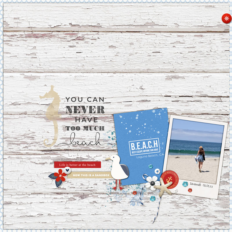 You-Can-Never-Have-Too-Much-Beach